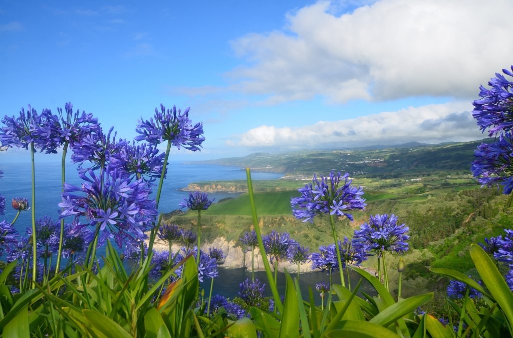 Destination Suggestions – The Azores